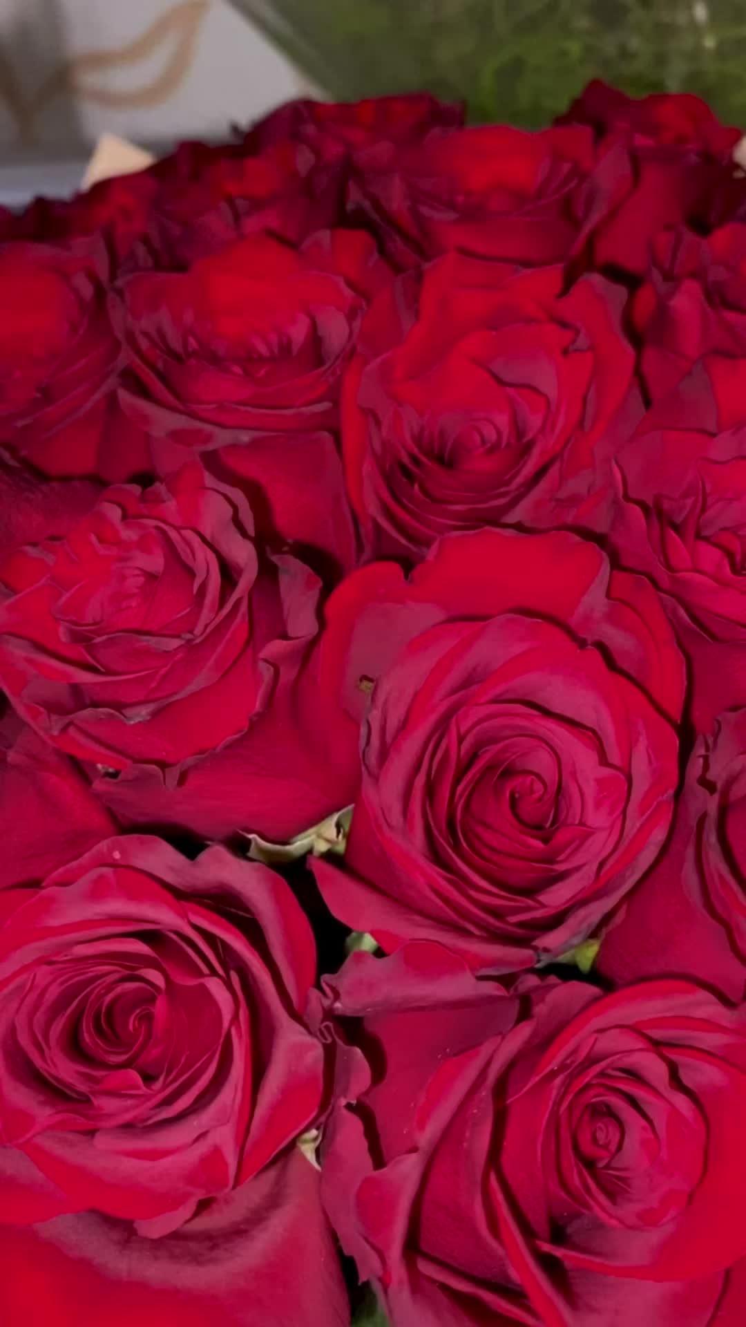 Silent Echoes of Fragrant Paradise